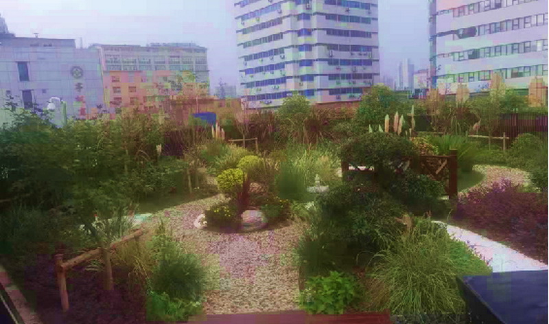 消防站屋顶(图3)